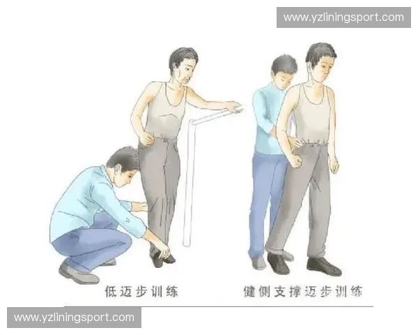 科学训练与康复融合视角下提升运动员伤病预防与身体功能保护体系研究 科学训练与康复融合视角下提升运动员伤病预防与身体功能保护体系研究